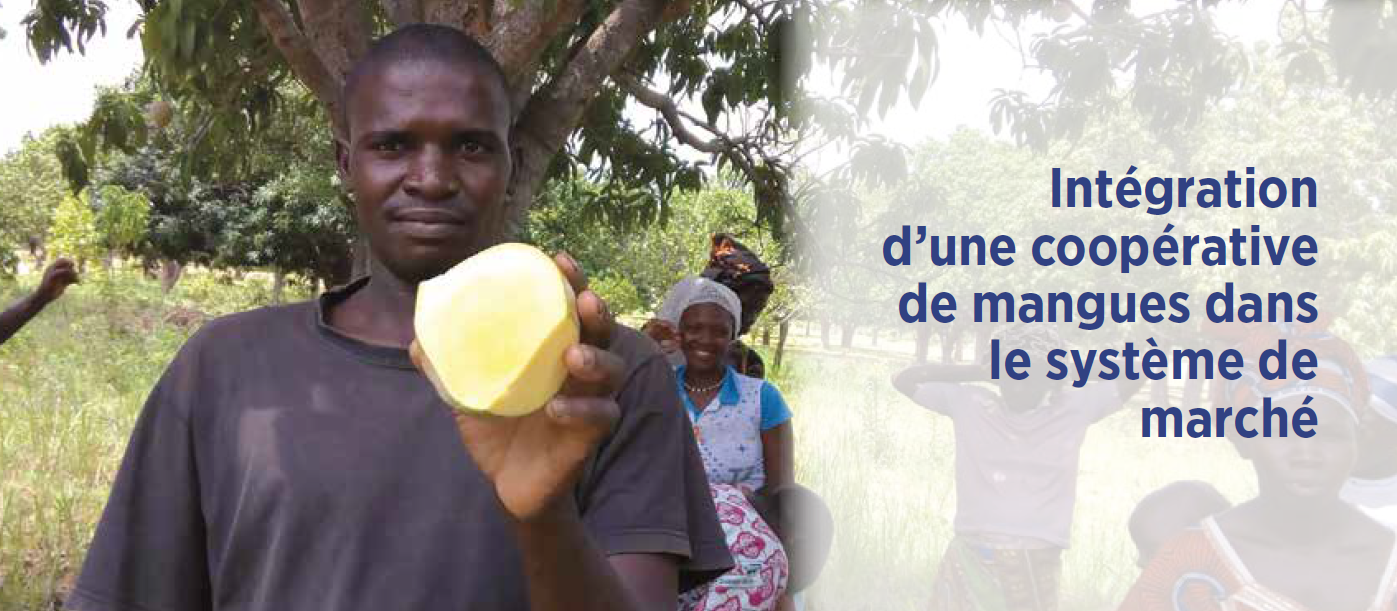 Intégration d’une coopérative de mangues dans le système de marché au Mali