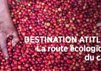 Destination Atitlan - La route écologique du café